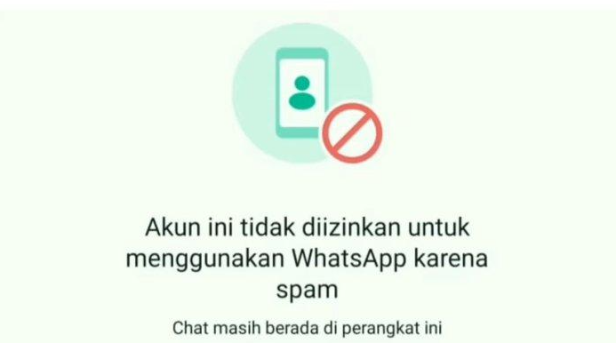 akun whatsapp